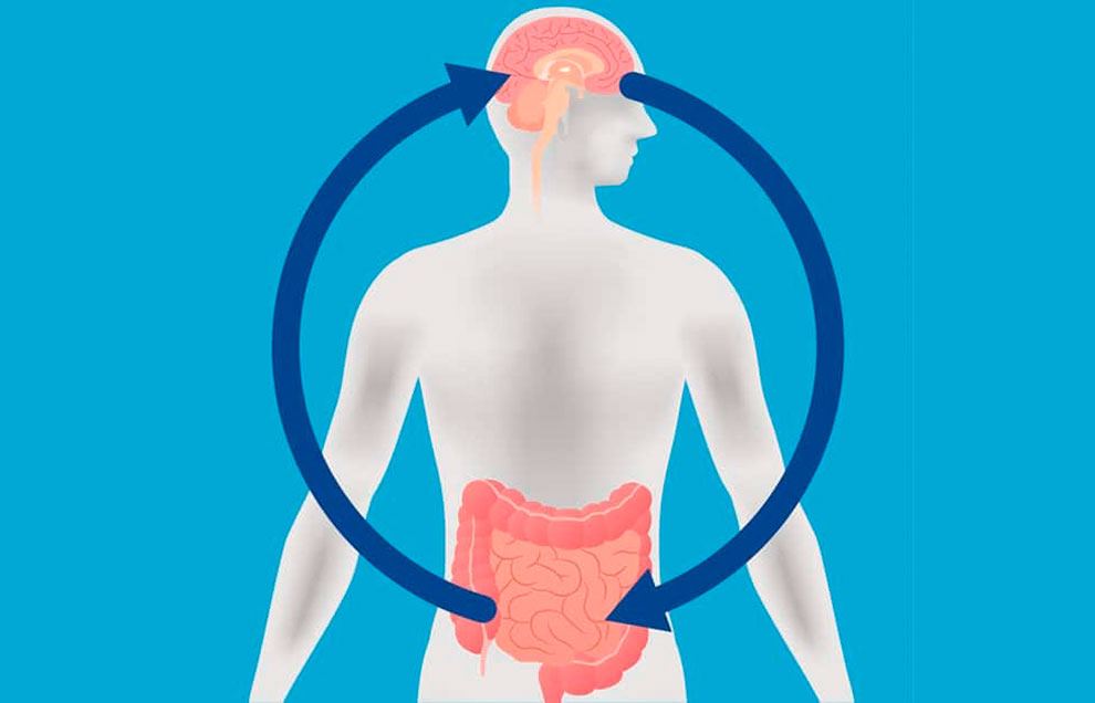 Связь между набором веса и микробиомом кишечника